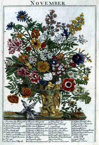 Kasım, Robert Furber (c.1674-1756) tarafından 