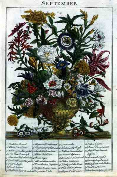 Eylül, Robert Furber (c.1674-1756) tarafından 