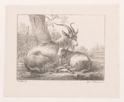 Manzarada keçi ve keçi by Pieter Bartholomeusz. Barbiers