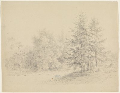 Çam ağaçları ile orman manzarası by Pieter Bartholomeusz. Barbiers