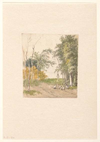 Yol boyunca tavuklarla manzara by Pieter Bartholomeusz. Barbiers