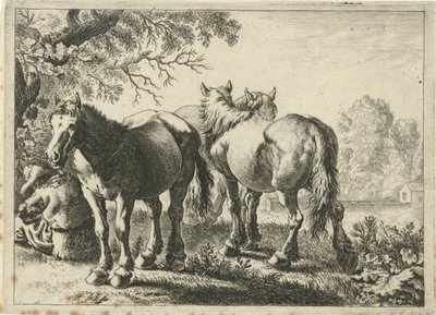 Üç at ve bir çiftçi Farklı hayvanlar (dizi başlığı) by Pieter Bodding van Laer