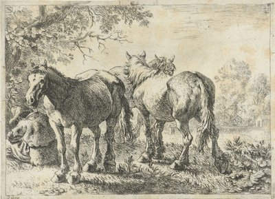 Üç at ve bir çiftçi Farklı hayvanlar (dizi başlığı) by Pieter Bodding van Laer