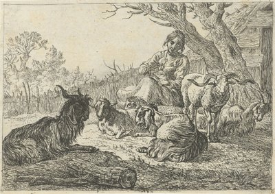 Keçi ve koyunların ortasında çoban kız Farklı hayvanlar (dizi başlığı) by Pieter Bodding van Laer