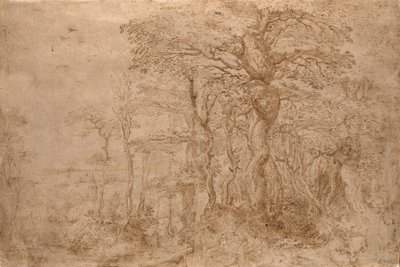 Beş Ayılı Sylvan Manzarası by Pieter Bruegel the Elder