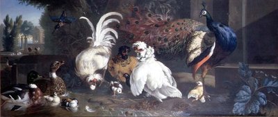 Tavus Kuşu, Tavuklar, Ördekler ve Yalıçapkını by Pieter Casteels