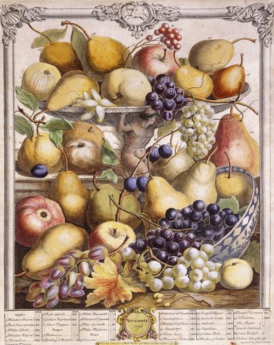 Kasım 1732, mevsimlik elma, armut, üzüm vb. gösterir, 1732 by Pieter Casteels