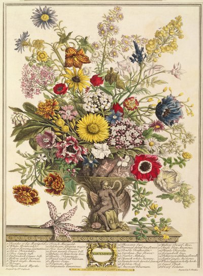 Kasım, Robert Furber