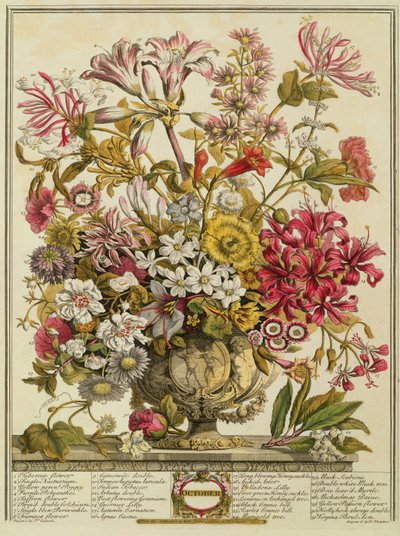 Ekim, Robert Furber