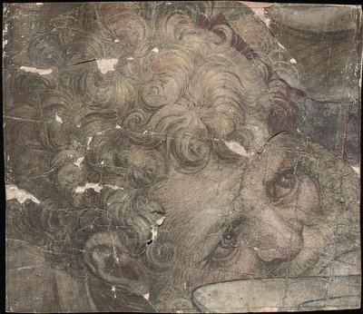Yukarıya bakan sakallı bir adamın başı by Pieter Coecke van Aelst