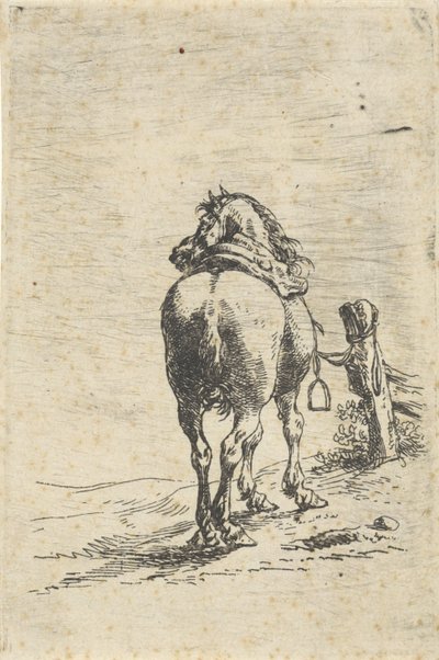 Bir direğe eyerli at by Pieter Cornelisz. Verbeeck