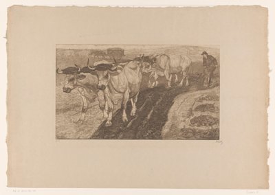Çiftlik Öküz by Pieter Dupont (signed by artist)