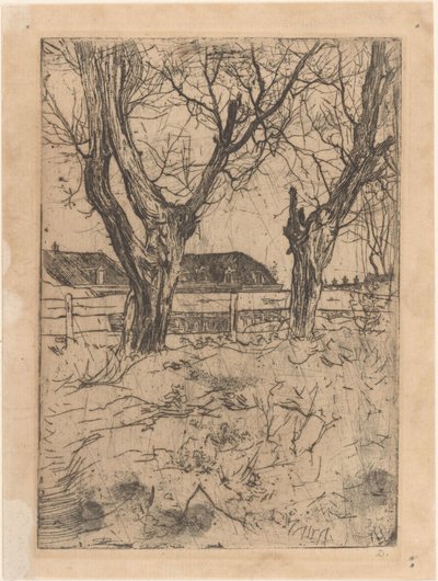 Bir çit için iki pollard söğüt by Pieter Dupont (signed by artist)