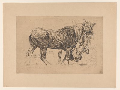 İki atlı çalışma sayfası by Pieter Dupont
