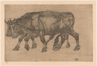 iki öküz by Pieter Dupont