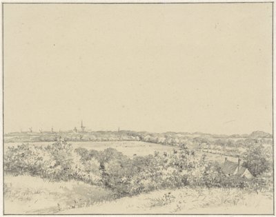 Kum tepelerinden görülen Haarlem'in görünümü by Pieter Ernst Hendrik Praetorius