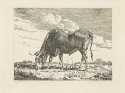 otlayan inek by Pieter Gerardus van Os