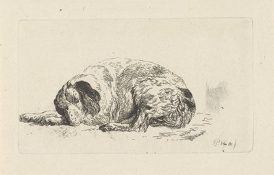 yalancı köpek by Pieter Gerardus van Os