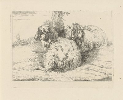yalancı koyun Koyun ve keçiler (dizi adı) by Pieter Gerardus van Os