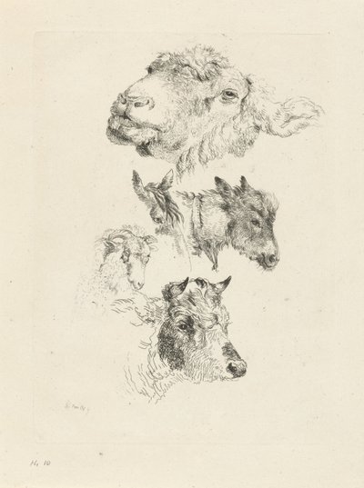 Koyun, at, eşek, koç ve boğa başlı çalışma sayfası by Pieter Gerardus van Os