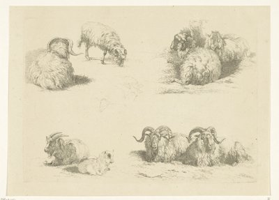 Koyun ve keçilerle dört performans Koyun ve keçiler (dizi adı) by Pieter Gerardus van Os