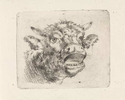 İnek başı, uluyan by Pieter Janson