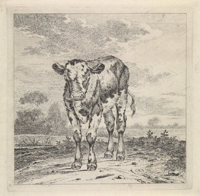 buzağı ile manzara by Pieter Janson