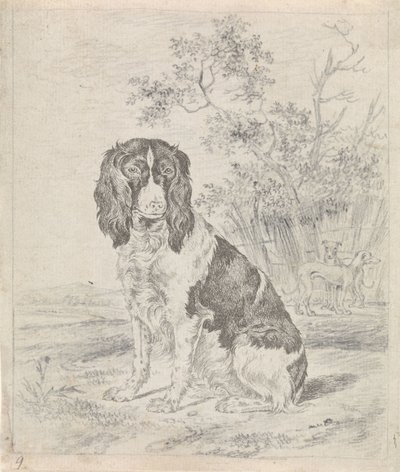 oturan keklik köpek by Pieter Janson