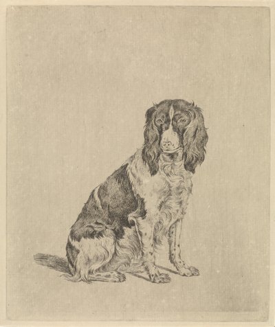 oturan keklik köpek by Pieter Janson