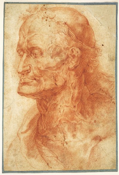 Yaşlı Bir Adamın Kafasının İncelenmesi, yaklaşık 1602. by Pieter Paul Rubens
