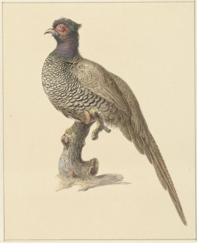 sülün avı by Pieter Pietersz. Barbiers
