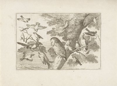 Bom içinde Uil en andere vogels Verschillende vogels (seri başlığı) Farklı kuşların en mükemmel şekilleri (...) (dizi başlığı) by Pieter Schenk (I) (attributed to)