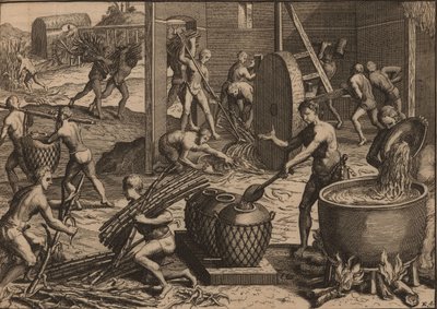 Köleler şeker kamışını işleyip şeker yapıyorlar. by Pieter Van der Aa