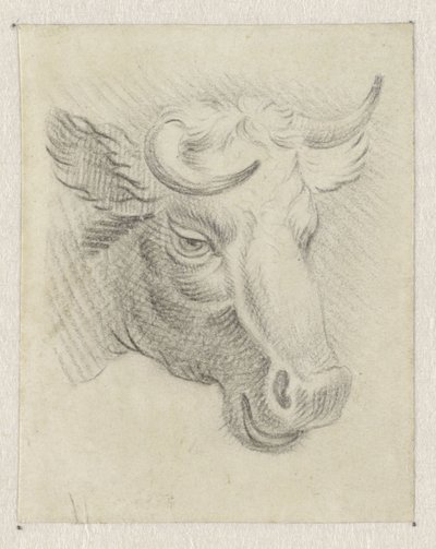Bir inek başkanı by Pieter de Goeje