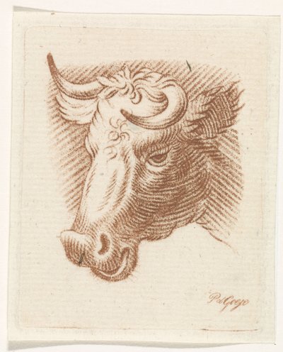 Bir boğa başkanı by Pieter de Goeje