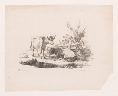 Bir çitin yanında iki inek ve bir pollard söğüt by Pieter de Goeje