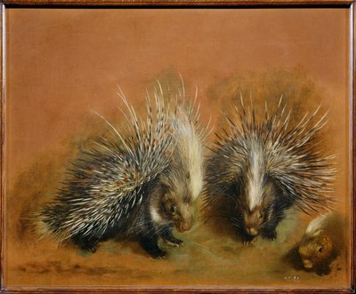  by Pieter or Peter Boel