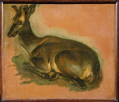  by Pieter or Peter Boel