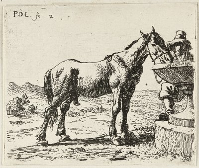  by Pieter van Laer