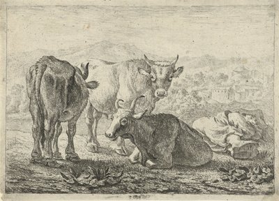  by Pieter van Laer
