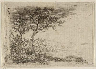  by Pieter van Laer