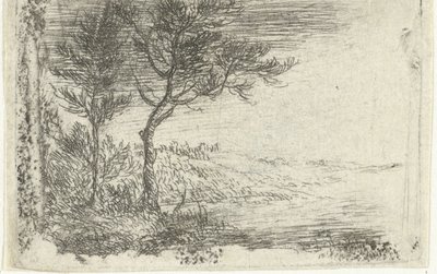 by Pieter van Laer
