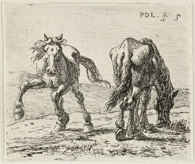  by Pieter van Laer