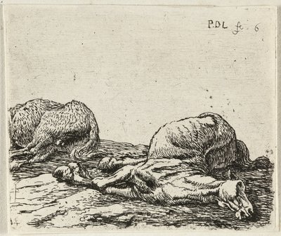  by Pieter van Laer