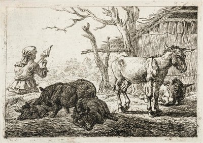  by Pieter van Laer