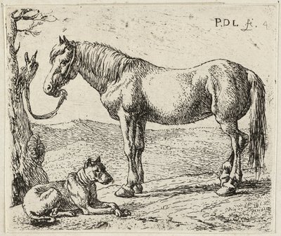  by Pieter van Laer