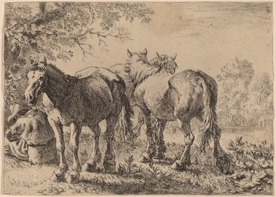 Bir Tarlada Üç At by Pieter van Laer