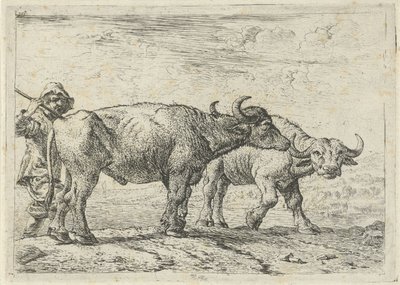  by Pieter van Laer