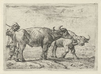  by Pieter van Laer