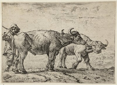  by Pieter van Laer